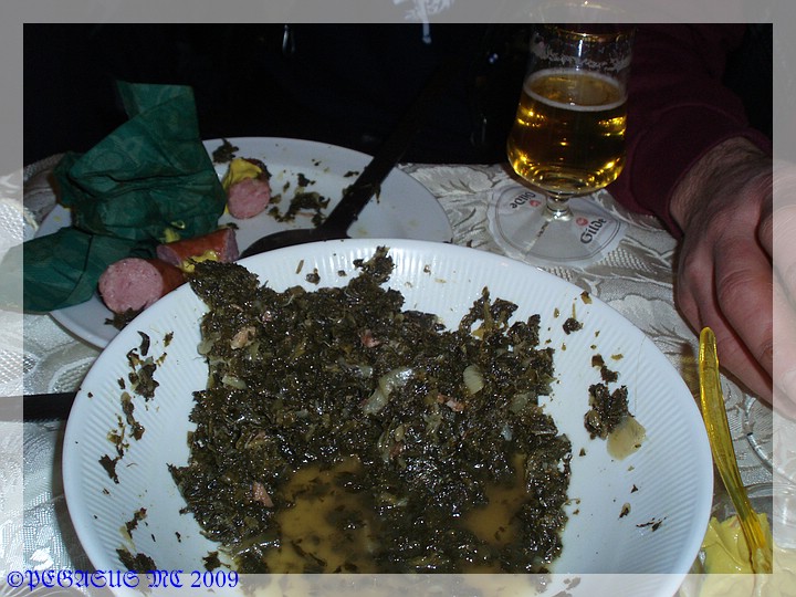 aBraunkohlwanderung 2009 (29).jpg